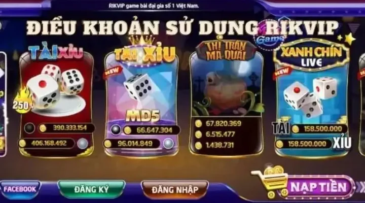 Các điều khoản sử dụng tại cổng game Rik vip